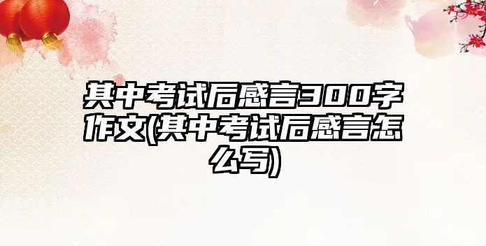 其中考試后感言300字作文(其中考試后感言怎么寫)