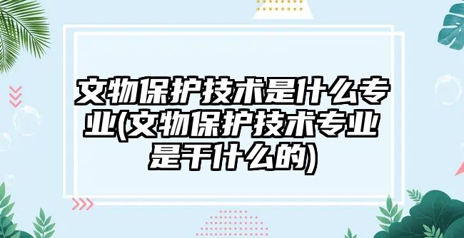 文物保護技術是什么專業(yè)(文物保護技術專業(yè)是干什么的)