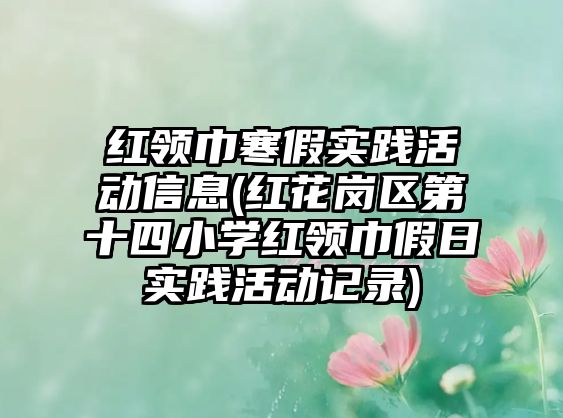 紅領巾寒假實踐活動信息(紅花崗區(qū)第十四小學紅領巾假日實踐活動記錄)