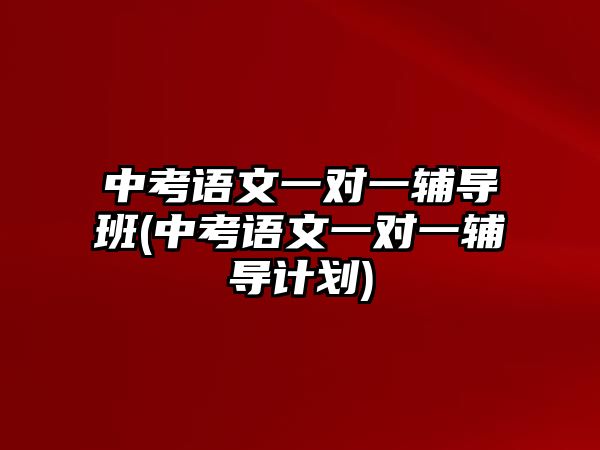 中考語文一對一輔導(dǎo)班(中考語文一對一輔導(dǎo)計劃)