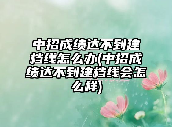 中招成績達(dá)不到建檔線怎么辦(中招成績達(dá)不到建檔線會(huì)怎么樣)