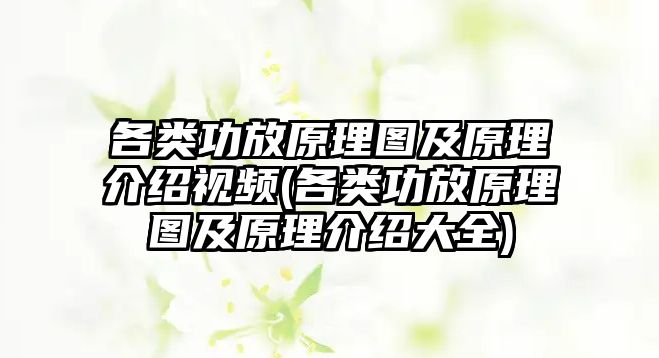 各類(lèi)功放原理圖及原理介紹視頻(各類(lèi)功放原理圖及原理介紹大全)