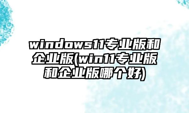 windows11專業(yè)版和企業(yè)版(win11專業(yè)版和企業(yè)版哪個好)