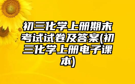 初三化學(xué)上冊期末考試試卷及答案(初三化學(xué)上冊電子課本)