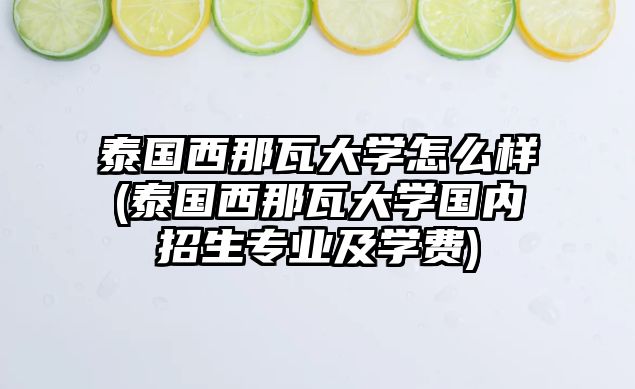 泰國西那瓦大學怎么樣(泰國西那瓦大學國內(nèi)招生專業(yè)及學費)