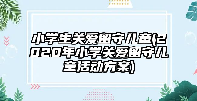 小學(xué)生關(guān)愛留守兒童(2020年小學(xué)關(guān)愛留守兒童活動(dòng)方案)