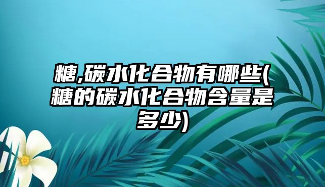 糖,碳水化合物有哪些(糖的碳水化合物含量是多少)