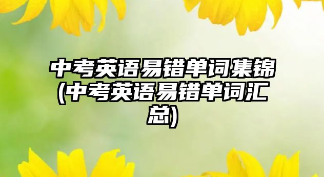 中考英語易錯(cuò)單詞集錦(中考英語易錯(cuò)單詞匯總)