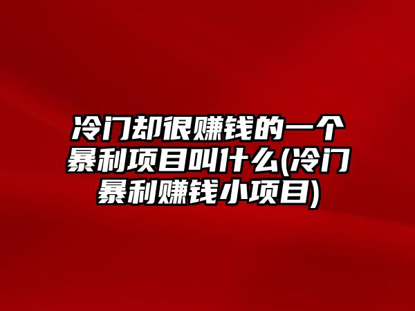 冷門卻很賺錢的一個暴利項目叫什么(冷門暴利賺錢小項目)