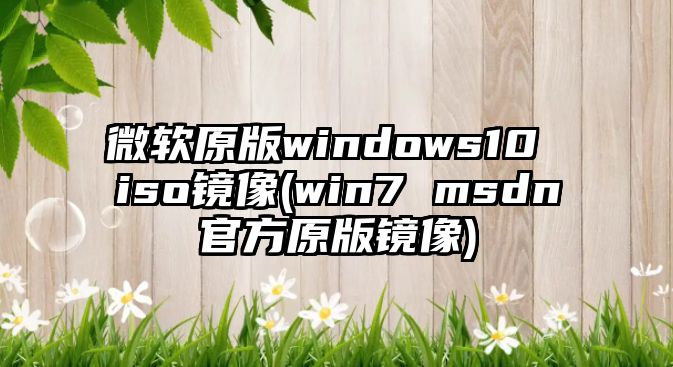 微軟原版windows10 iso鏡像(win7 msdn官方原版鏡像)