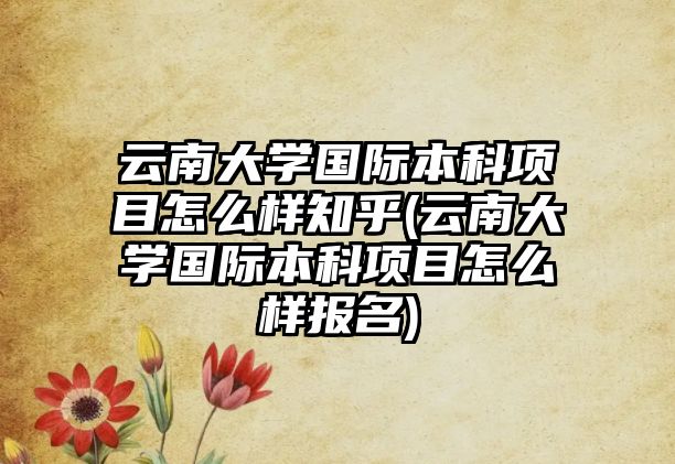 云南大學(xué)國際本科項(xiàng)目怎么樣知乎(云南大學(xué)國際本科項(xiàng)目怎么樣報(bào)名)