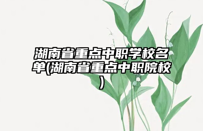 湖南省重點(diǎn)中職學(xué)校名單(湖南省重點(diǎn)中職院校)