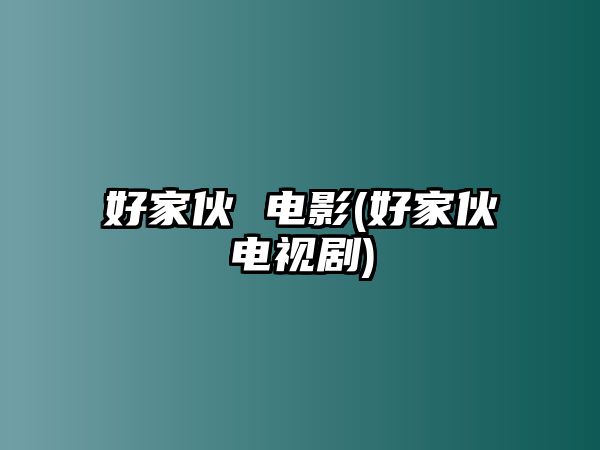 好家伙 電影(好家伙電視劇)