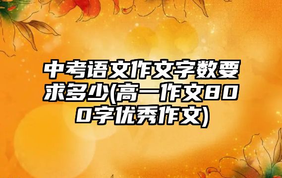 中考語(yǔ)文作文字?jǐn)?shù)要求多少(高一作文800字優(yōu)秀作文)