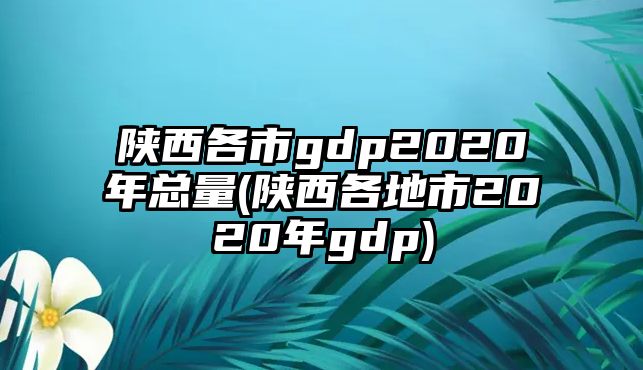 陜西各市g(shù)dp2020年總量(陜西各地市2020年gdp)