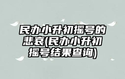 民辦小升初搖號(hào)的悲哀(民辦小升初搖號(hào)結(jié)果查詢)