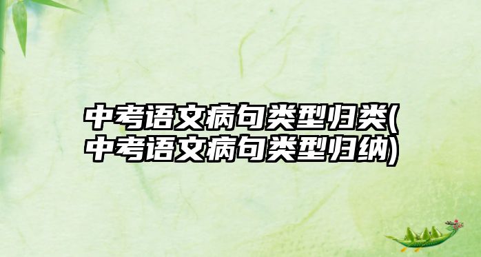 中考語文病句類型歸類(中考語文病句類型歸納)