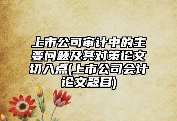 上市公司審計(jì)中的主要問(wèn)題及其對(duì)策論文切入點(diǎn)(上市公司會(huì)計(jì)論文題目)