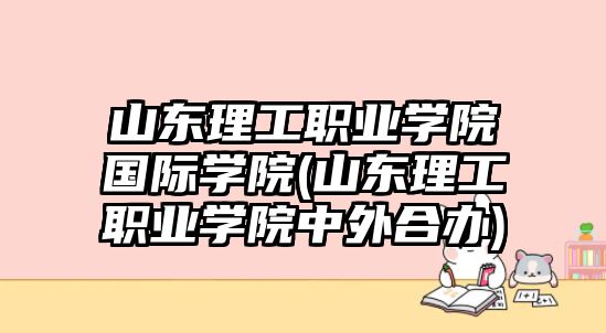 山東理工職業(yè)學(xué)院國(guó)際學(xué)院(山東理工職業(yè)學(xué)院中外合辦)