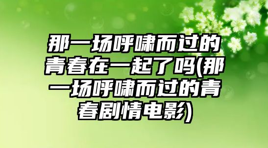 那一場(chǎng)呼嘯而過(guò)的青春在一起了嗎(那一場(chǎng)呼嘯而過(guò)的青春劇情電影)