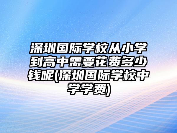 深圳國際學校從小學到高中需要花費多少錢呢(深圳國際學校中學學費)