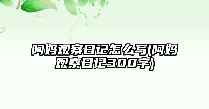 阿媽觀察日記怎么寫(阿媽觀察日記300字)