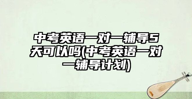 中考英語一對一輔導(dǎo)5天可以嗎(中考英語一對一輔導(dǎo)計劃)