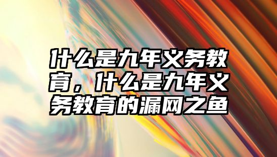 什么是九年義務(wù)教育，什么是九年義務(wù)教育的漏網(wǎng)之魚(yú)