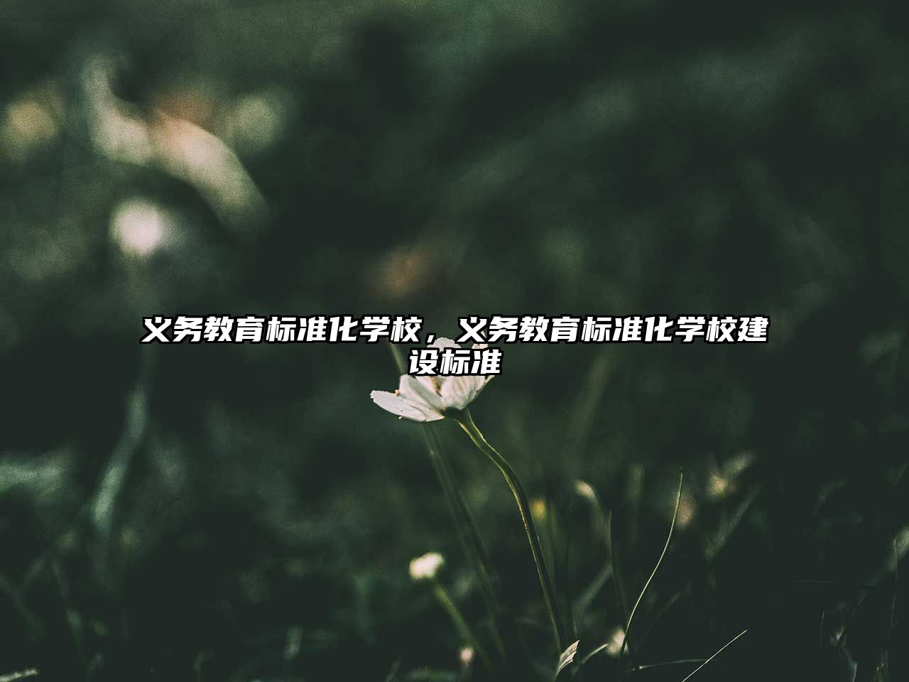 義務(wù)教育標(biāo)準(zhǔn)化學(xué)校，義務(wù)教育標(biāo)準(zhǔn)化學(xué)校建設(shè)標(biāo)準(zhǔn)