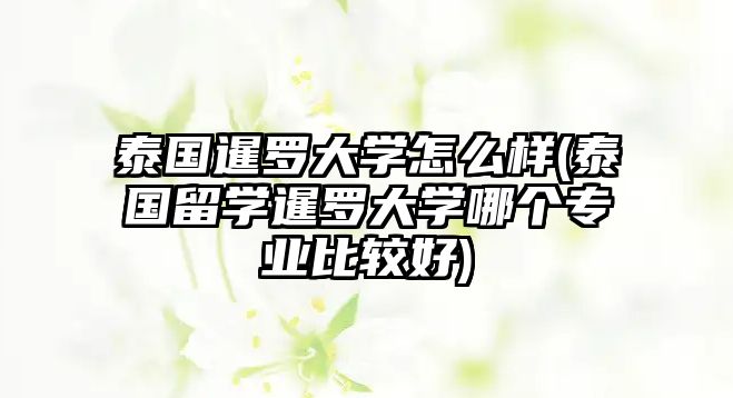 泰國暹羅大學(xué)怎么樣(泰國留學(xué)暹羅大學(xué)哪個(gè)專業(yè)比較好)