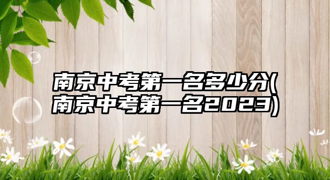 南京中考第一名多少分(南京中考第一名2023)