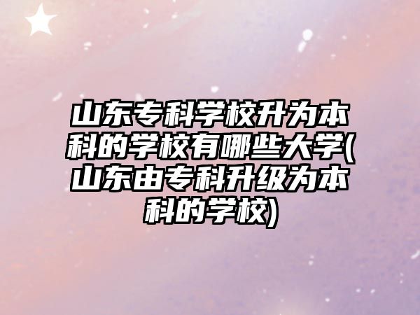 山東?？茖W(xué)校升為本科的學(xué)校有哪些大學(xué)(山東由專科升級為本科的學(xué)校)