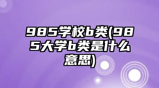 985學(xué)校b類(985大學(xué)b類是什么意思)