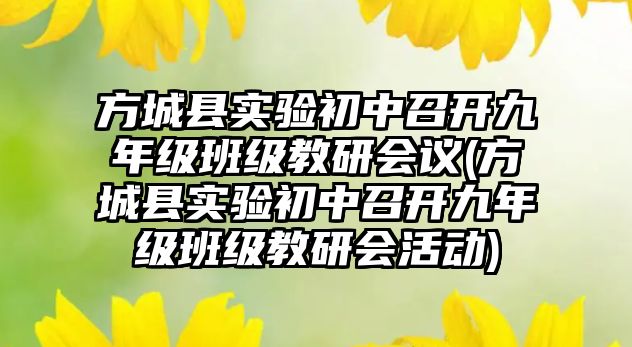 方城縣實驗初中召開九年級班級教研會議(方城縣實驗初中召開九年級班級教研會活動)