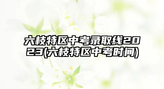 六枝特區(qū)中考錄取線2023(六枝特區(qū)中考時間)