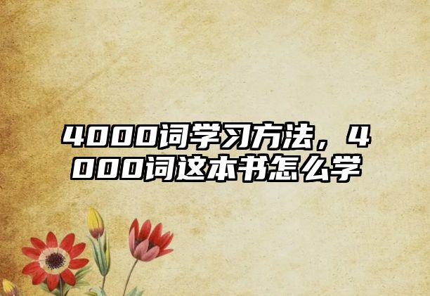 4000詞學(xué)習(xí)方法，4000詞這本書怎么學(xué)