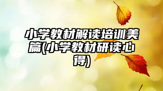 小學教材解讀培訓美篇(小學教材研讀心得)