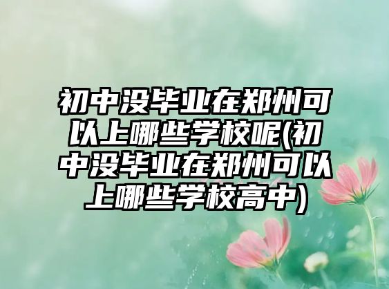 初中沒畢業(yè)在鄭州可以上哪些學校呢(初中沒畢業(yè)在鄭州可以上哪些學校高中)