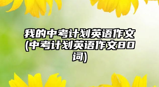 我的中考計劃英語作文(中考計劃英語作文80詞)