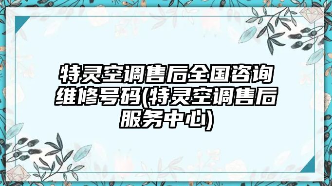 特靈空調(diào)售后全國咨詢維修號碼(特靈空調(diào)售后服務(wù)中心)