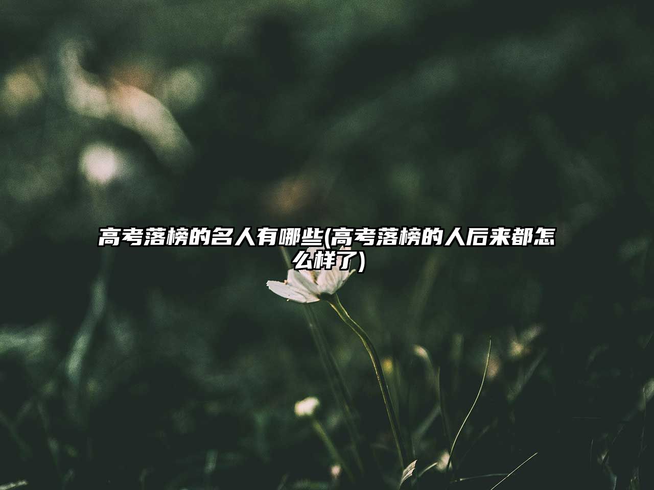 高考落榜的名人有哪些(高考落榜的人后來(lái)都怎么樣了)