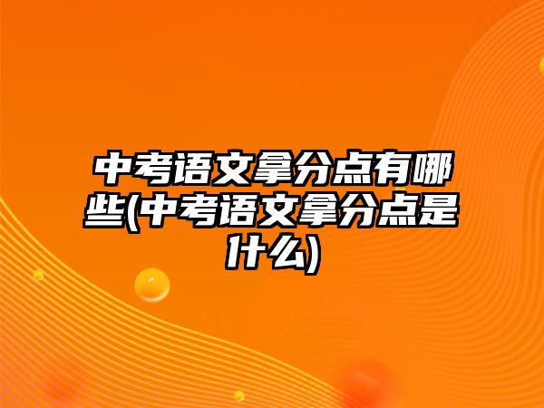 中考語文拿分點有哪些(中考語文拿分點是什么)