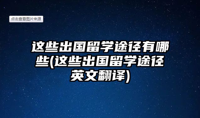 這些出國留學(xué)途徑有哪些(這些出國留學(xué)途徑英文翻譯)