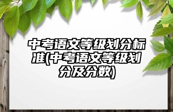 中考語文等級劃分標(biāo)準(zhǔn)(中考語文等級劃分及分?jǐn)?shù))