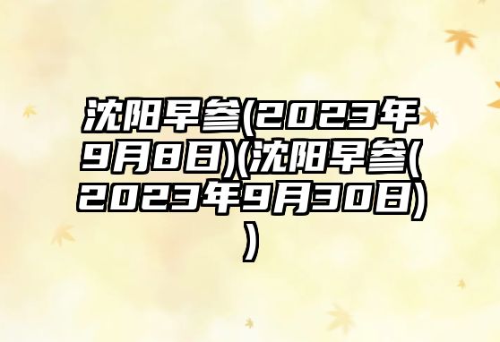 沈陽早參(2023年9月8日)(沈陽早參(2023年9月30日))