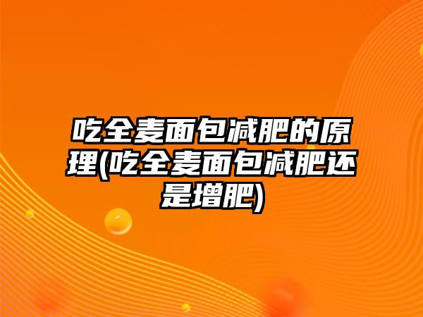 吃全麥面包減肥的原理(吃全麥面包減肥還是增肥)