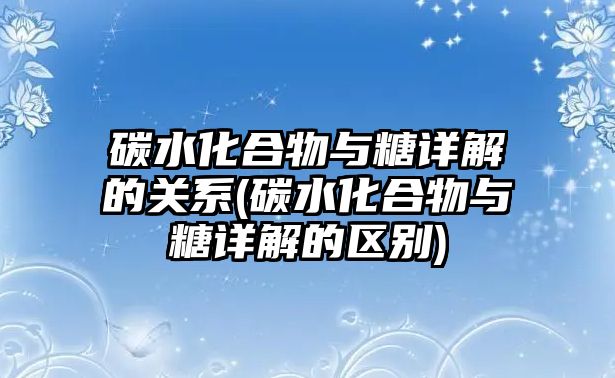 碳水化合物與糖詳解的關系(碳水化合物與糖詳解的區(qū)別)