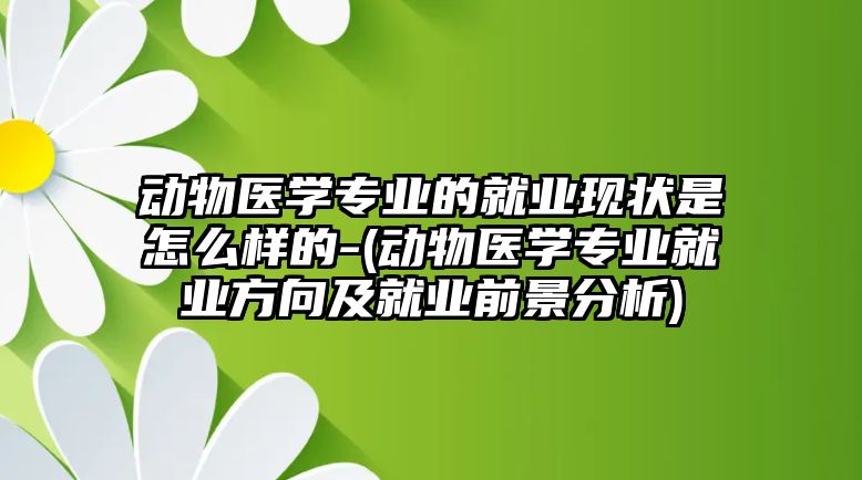 動物醫(yī)學(xué)專業(yè)的就業(yè)現(xiàn)狀是怎么樣的-(動物醫(yī)學(xué)專業(yè)就業(yè)方向及就業(yè)前景分析)