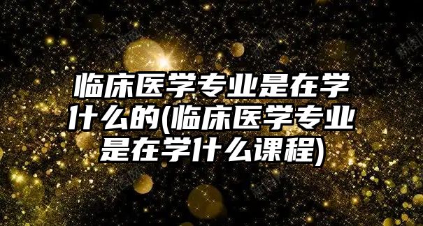 臨床醫(yī)學專業(yè)是在學什么的(臨床醫(yī)學專業(yè)是在學什么課程)