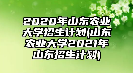 2020年山東農(nóng)業(yè)大學(xué)招生計(jì)劃(山東農(nóng)業(yè)大學(xué)2021年山東招生計(jì)劃)